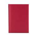 Agenda nedatata 15x21 cm Bristol 439