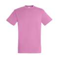 Tricou unisex Regent