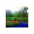 Calendar de perete Gardens