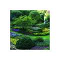 Calendar de perete Gardens