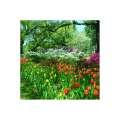 Calendar de perete Gardens
