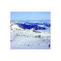 Calendar de perete Holiday
