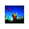 Calendar de perete Kids