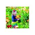 Calendar de perete Kids