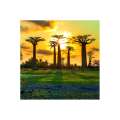 Calendar de perete Landscapes