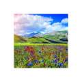 Calendar de perete Landscapes