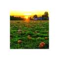 Calendar de perete Landscapes