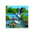 Calendar de perete Romania