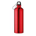 Bidon sport Big Moss