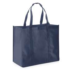 Sacosa netesuta Shopper