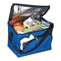 Geanta termoizolanta Delhi