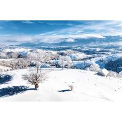Calendar de birou Romania