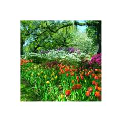 Calendar de perete Gardens
