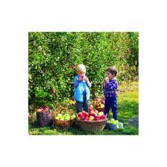 Calendar de perete Kids