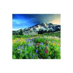 Calendar de perete Landscapes