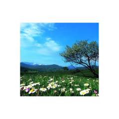 Calendar de perete Landscapes
