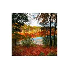 Calendar de perete Landscapes