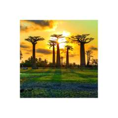 Calendar de perete Landscapes