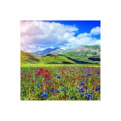 Calendar de perete Landscapes