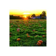 Calendar de perete Landscapes