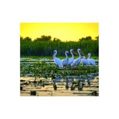 Calendar de perete Romania