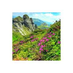 Calendar de perete Romania