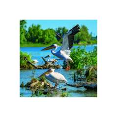 Calendar de perete Romania