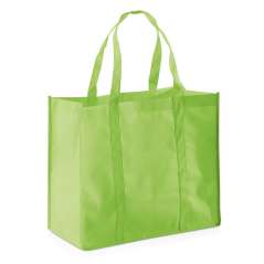 Sacosa netesuta Shopper