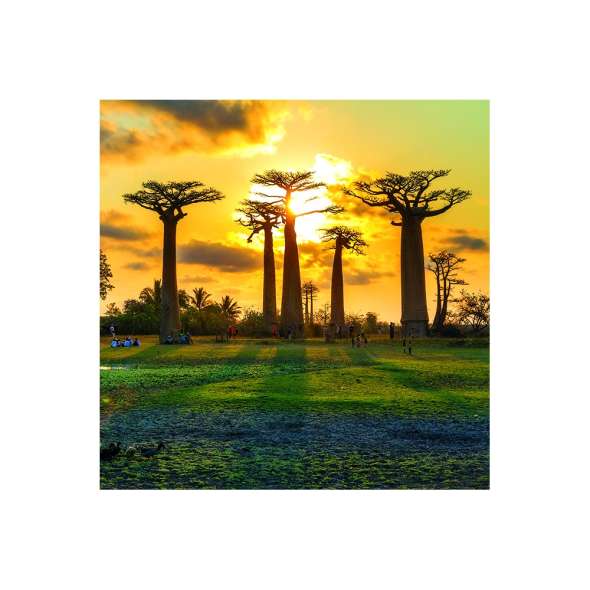 Calendar de perete Landscapes