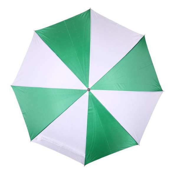 Umbrela automata Enia bicolora