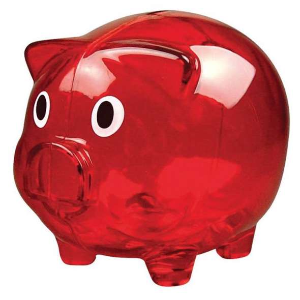 Pusculita Leincester