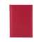Agenda nedatata 15x21 cm Bristol 439
