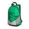 Rucsac Turim Green